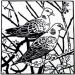 Two Lovey Doves - Ann Lewis