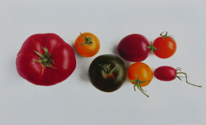 Heritage Tomatoes - Sigrid Muller