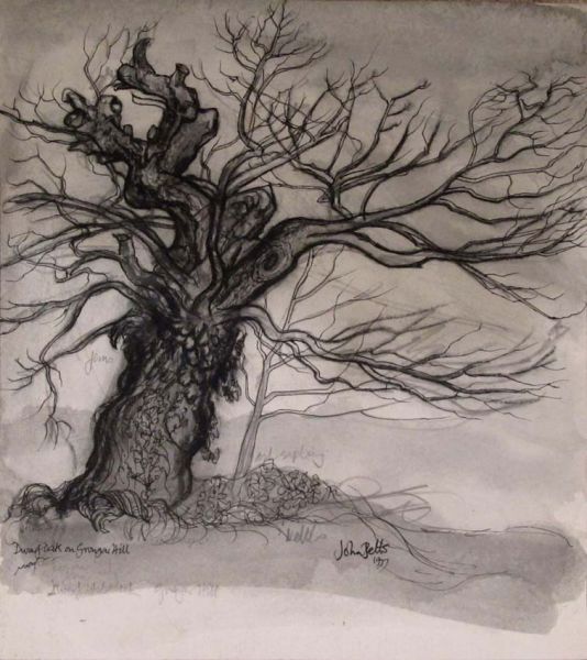 Dwarf Oak on Grongar Hill - John Petts