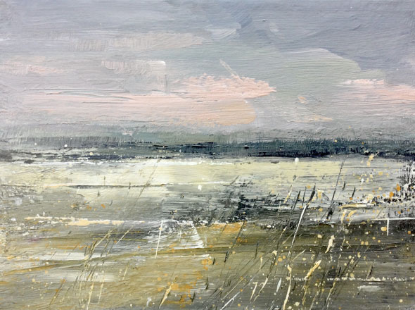 Marshes and a Distant Sea - Richard Barrett