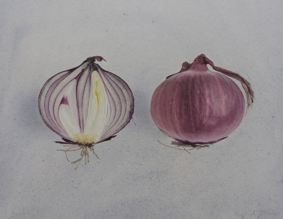 Onion - Sigrid Muller
