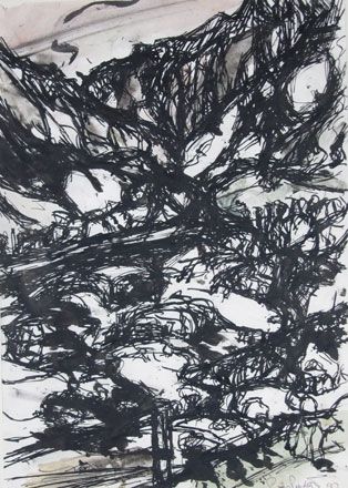 Ink Study of Tryfan - Peter Prendergast