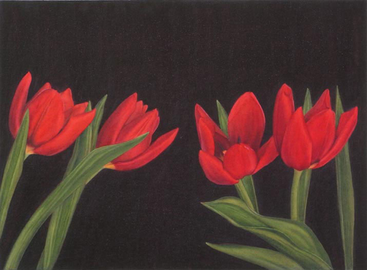 Red Tulips - Sigrid Muller