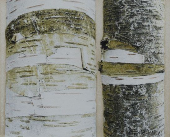 Silver Birches - Sigrid Muller