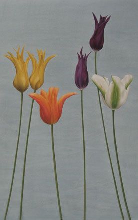Six Tulips - Sigrid Muller